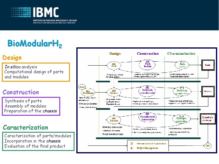 Bio. Modular. H 2 Design In silico analysis Computational design of parts and modules