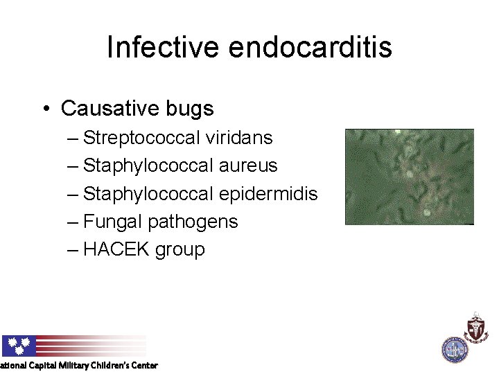 Infective endocarditis • Causative bugs – Streptococcal viridans – Staphylococcal aureus – Staphylococcal epidermidis