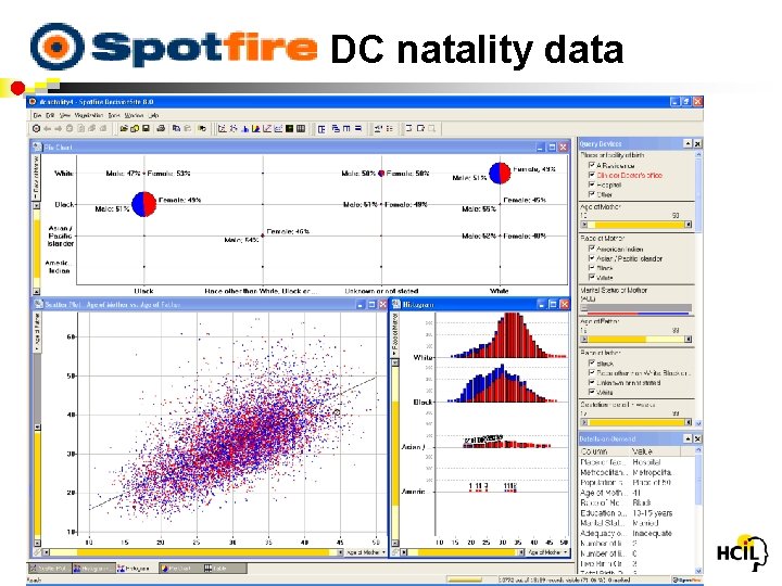 Spotfire: DC natality data 