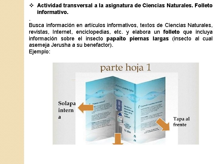  Actividad transversal a la asignatura de Ciencias Naturales. Folleto informativo. . Busca información