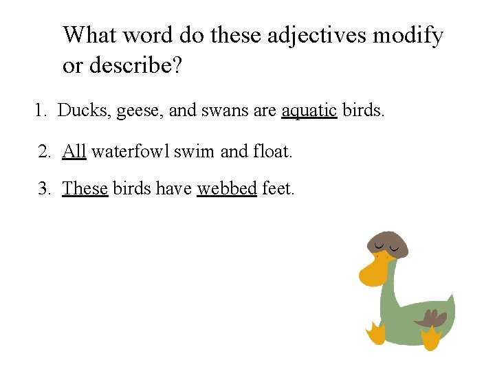 What word do these adjectives modify or describe? 1. Ducks, geese, and swans are