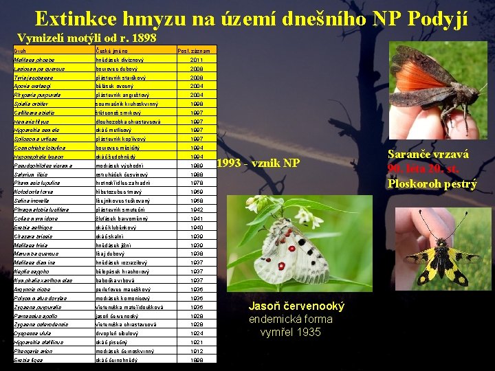 Extinkce hmyzu na území dnešního NP Podyjí Vymizelí motýli od r. 1898 Druh České