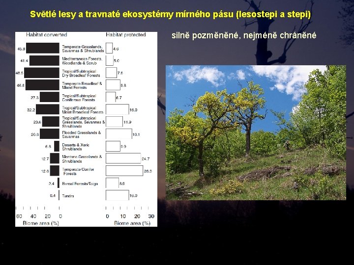 Světlé lesy a travnaté ekosystémy mírného pásu (lesostepi a stepi) silně pozměněné, nejméně chráněné