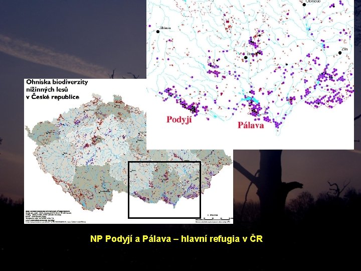 NP Podyjí a Pálava – hlavní refugia v ČR 