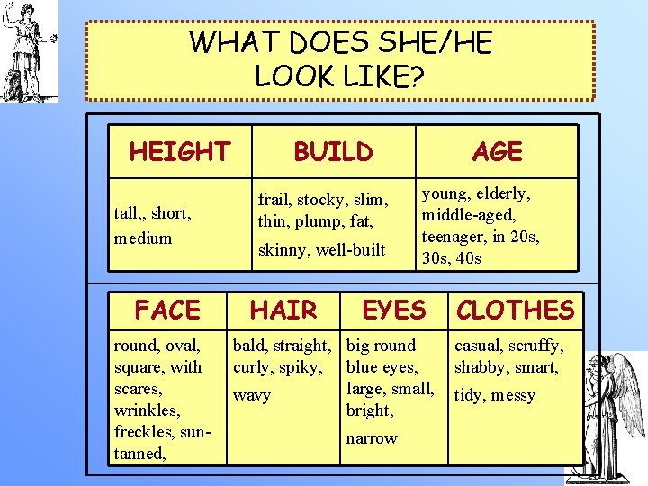 WHAT DOES SHE/HE LOOK LIKE? HEIGHT tall, , short, medium FACE round, oval, square,