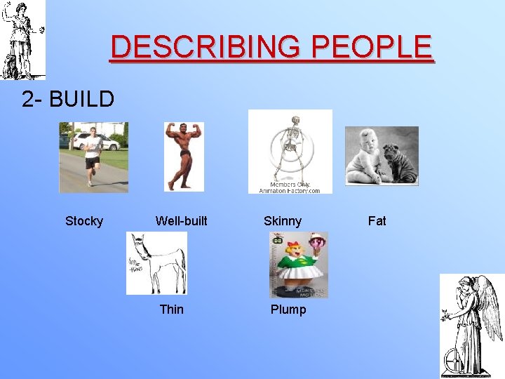 DESCRIBING PEOPLE 2 - BUILD Stocky Well-built Thin Skinny Plump Fat 