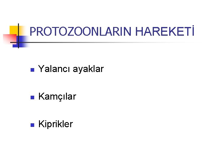 PROTOZOONLARIN HAREKETİ n Yalancı ayaklar n Kamçılar n Kiprikler 