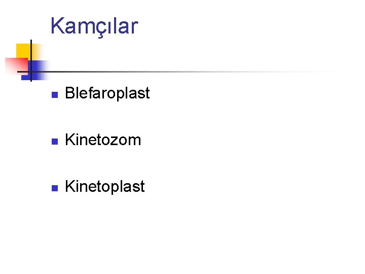Kamçılar n Blefaroplast n Kinetozom n Kinetoplast 