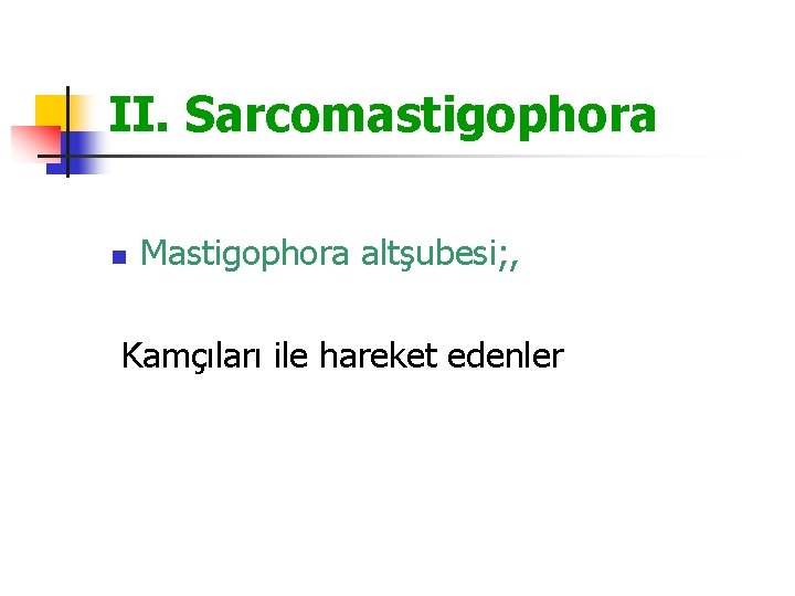 II. Sarcomastigophora n Mastigophora altşubesi; , Kamçıları ile hareket edenler 