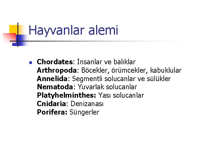 Hayvanlar alemi n Chordates: İnsanlar ve balıklar Arthropoda: Böcekler, örümcekler, kabuklular Annelida: Segmentli solucanlar