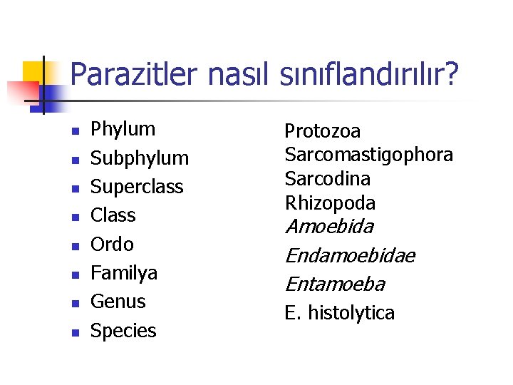 Parazitler nasıl sınıflandırılır? n n n n Phylum Subphylum Superclass Class Ordo Familya Genus