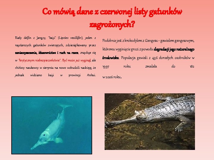 Co mówią dane z czerwonej listy gatunków zagrożonych? Biały delfin z Jangcy, "baiji" (Lipotes