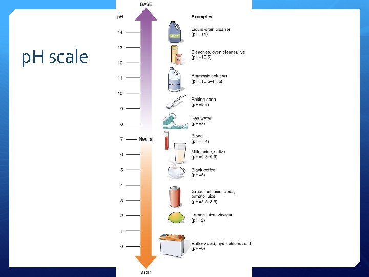 p. H scale 