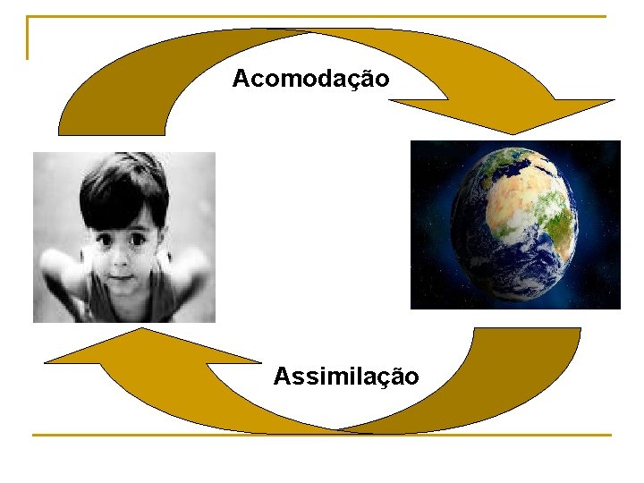 Acomodação Assimilação 