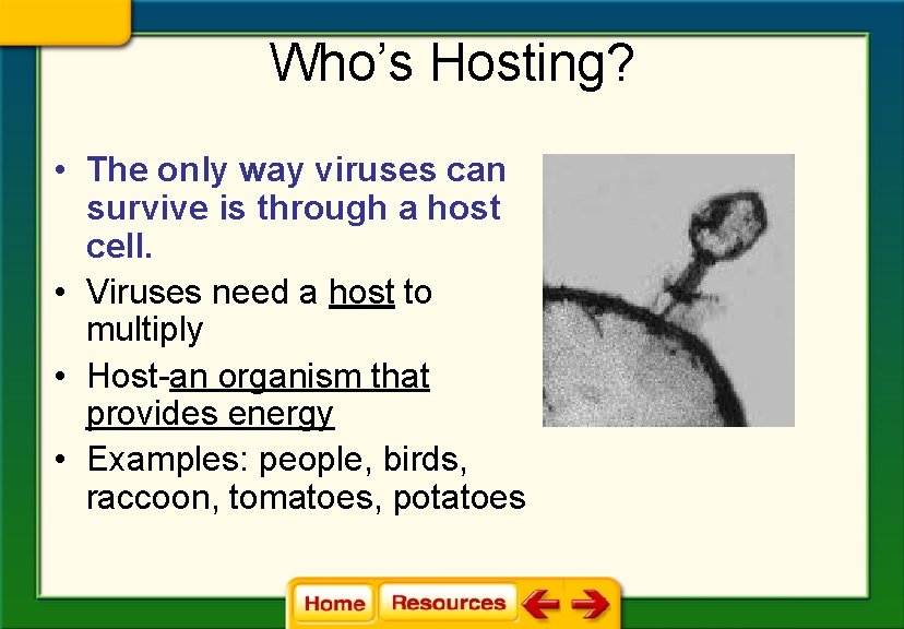 Who’s Hosting? • The only way viruses can survive is through a host cell.