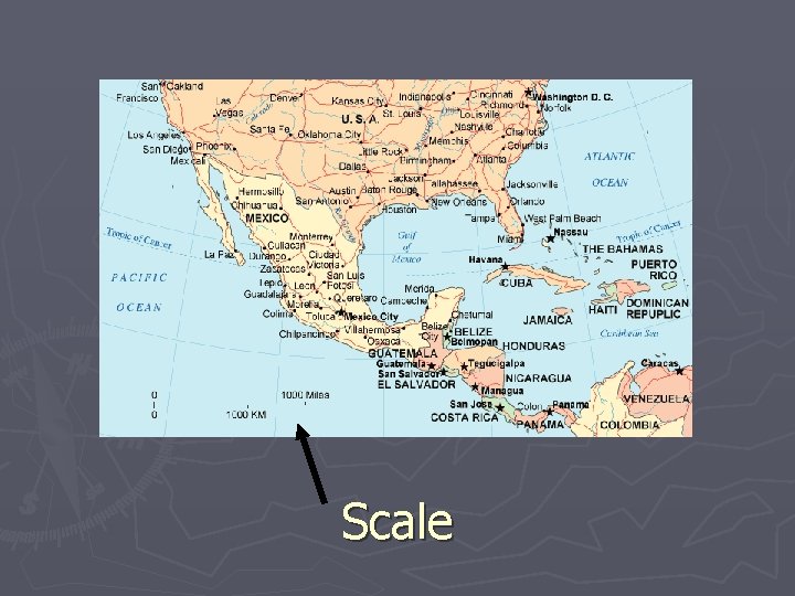 Scale 