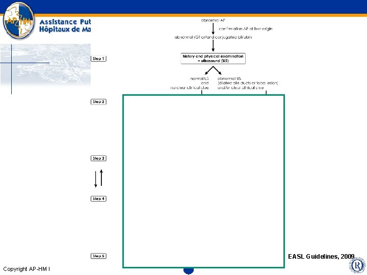 EASL Guidelines, 2009 Copyright AP-HM l 
