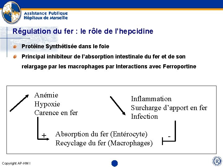 Régulation du fer : le rôle de l’hepcidine Protéine Synthétisée dans le foie Principal