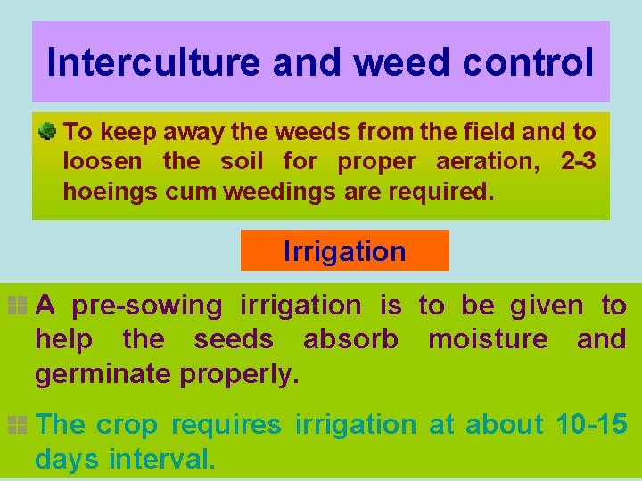 Interculture and weed control To keep away the weeds from the field and to