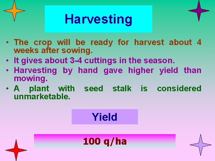 Harvesting • The crop will be ready for harvest about 4 weeks after sowing.