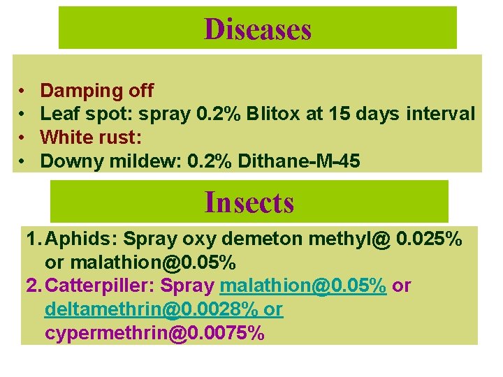Diseases • • Damping off Leaf spot: spray 0. 2% Blitox at 15 days
