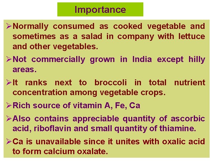 Importance ØNormally consumed as cooked vegetable and sometimes as a salad in company with