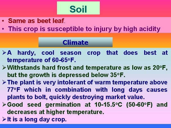 Soil • Same as beet leaf. • This crop is susceptible to injury by
