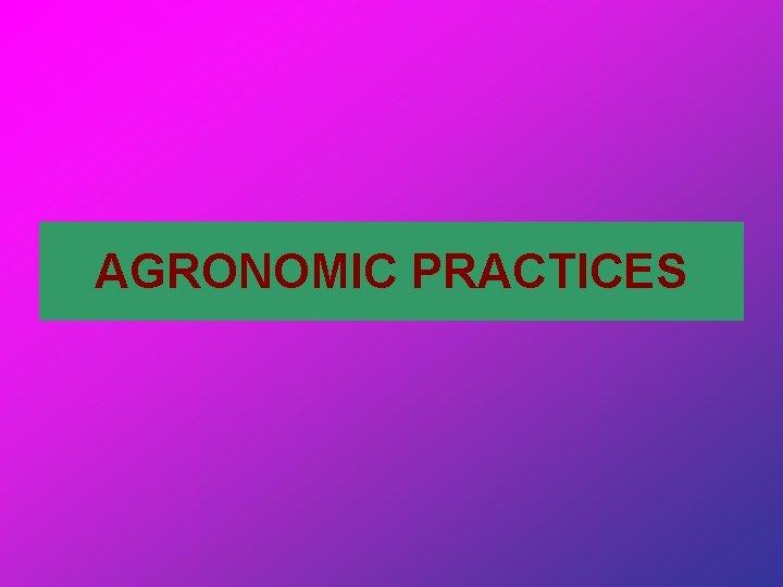 AGRONOMIC PRACTICES 