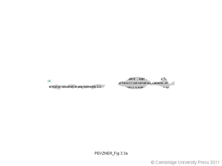 PEVZNER_Fig 3. 3 a © Cambridge University Press 2011 