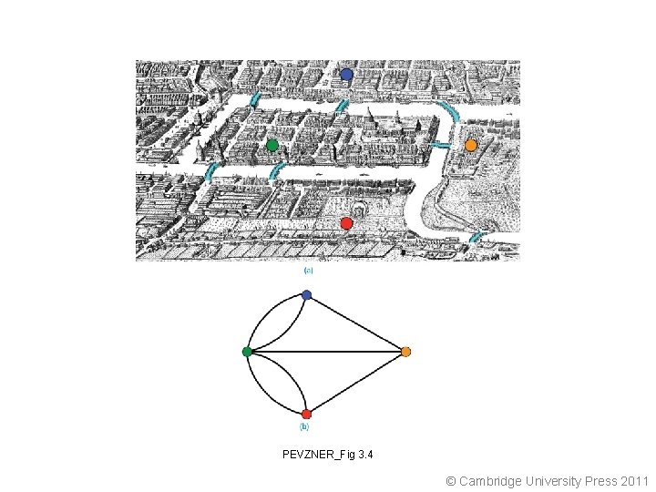 PEVZNER_Fig 3. 4 © Cambridge University Press 2011 