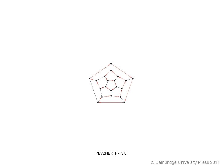PEVZNER_Fig 3. 6 © Cambridge University Press 2011 