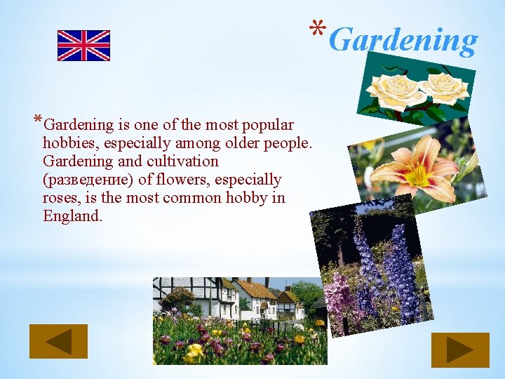 *Gardening is one of the most popular hobbies, especially among older people. Gardening and