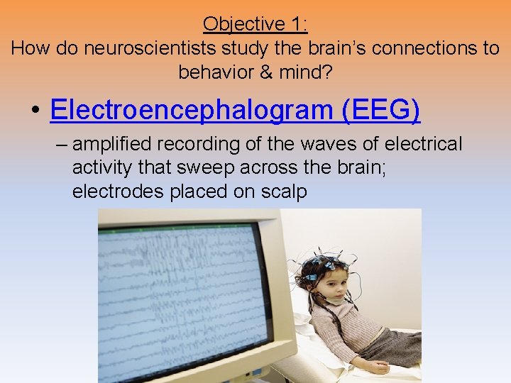 Objective 1: How do neuroscientists study the brain’s connections to behavior & mind? •