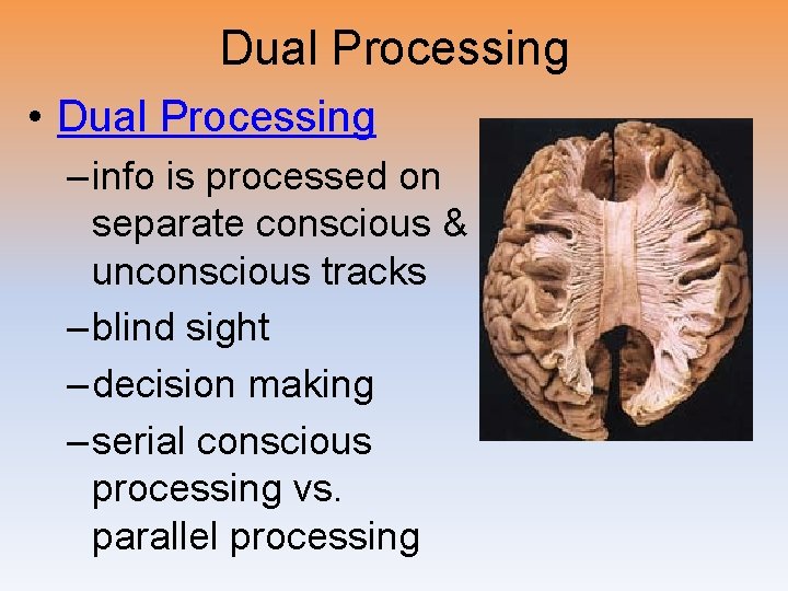 Dual Processing • Dual Processing – info is processed on separate conscious & unconscious