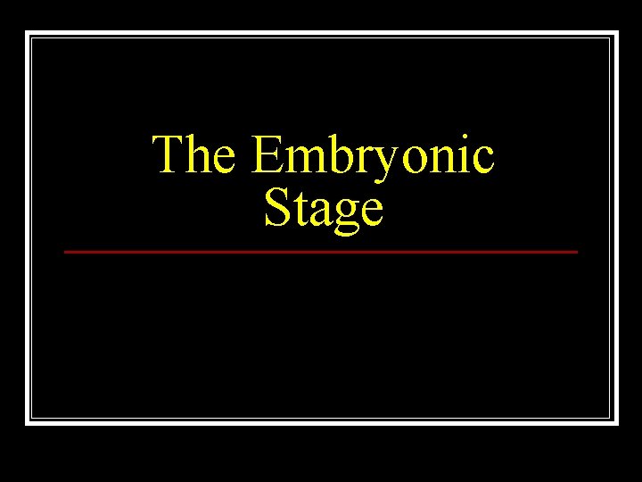 The Embryonic Stage 