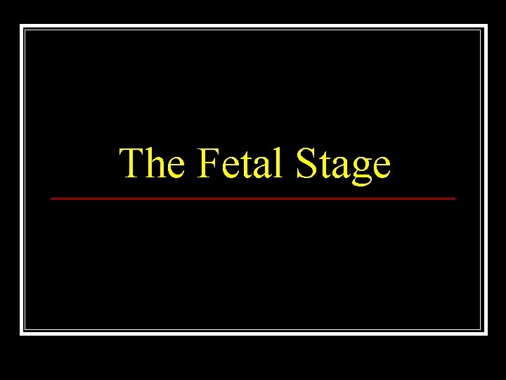 The Fetal Stage 