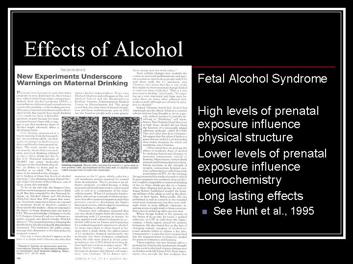 Effects of Alcohol n Fetal Alcohol Syndrome n High levels of prenatal exposure influence