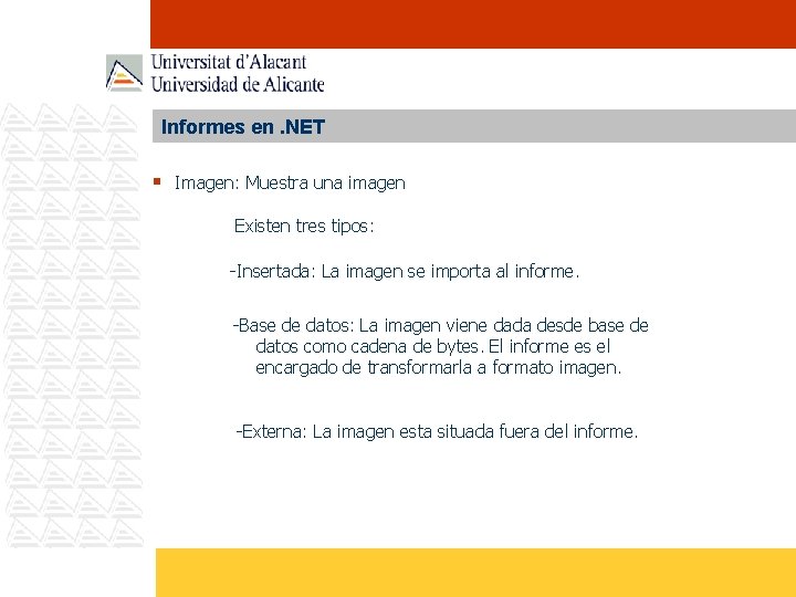 Informes en. NET § Imagen: Muestra una imagen Existen tres tipos: -Insertada: La imagen