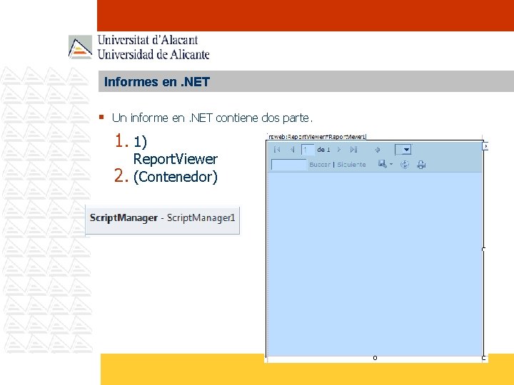 Informes en. NET § Un informe en. NET contiene dos parte. 1. 1) Report.