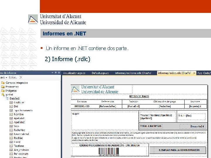 Informes en. NET § Un informe en. NET contiene dos parte. 2) Informe (.