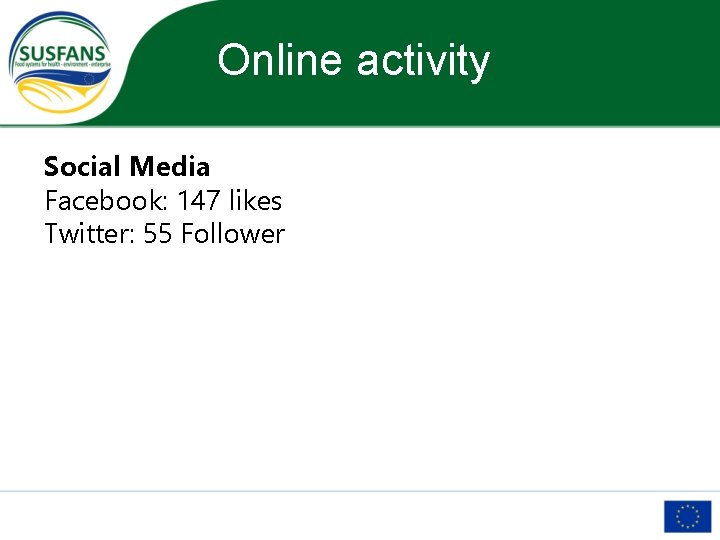 Online activity Social Media Facebook: 147 likes Twitter: 55 Follower 