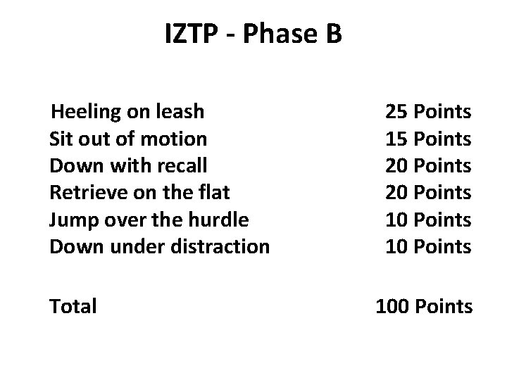 IZTP - Phase B Heeling on leash Sit out of motion Down with recall