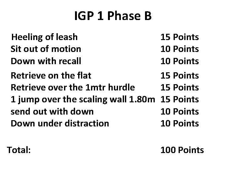 IGP 1 Phase B Heeling of leash Sit out of motion Down with recall