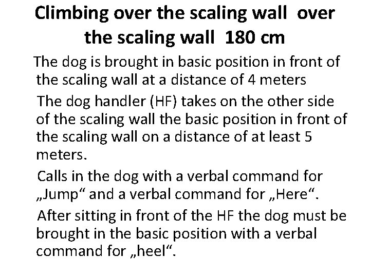 Climbing over the scaling wall 180 cm The dog is brought in basic position