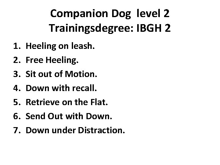 Companion Dog level 2 Trainingsdegree: IBGH 2 1. 2. 3. 4. 5. 6. 7.
