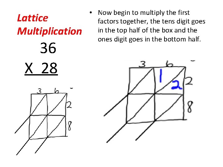 Lattice Multiplication 36 X 28 • Now begin to multiply the first factors together,