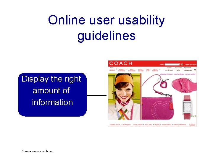 Online user usability guidelines Display the right amount of information Source: www. coach. com