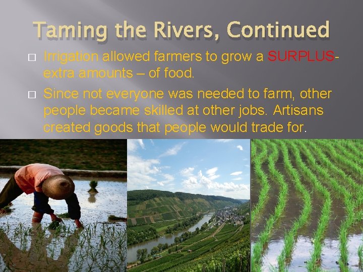 Taming the Rivers, Continued � � Irrigation allowed farmers to grow a SURPLUSextra amounts