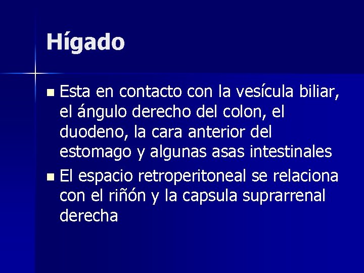 Hígado Esta en contacto con la vesícula biliar, el ángulo derecho del colon, el