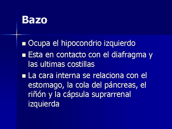 Bazo Ocupa el hipocondrio izquierdo n Esta en contacto con el diafragma y las
